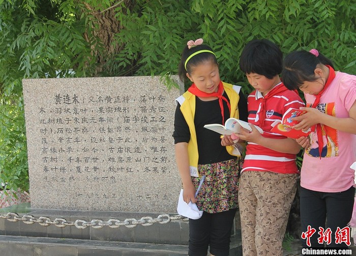 Visite au pays natal de Wang Yaping, deuxième femme astronaute chinoise (8)