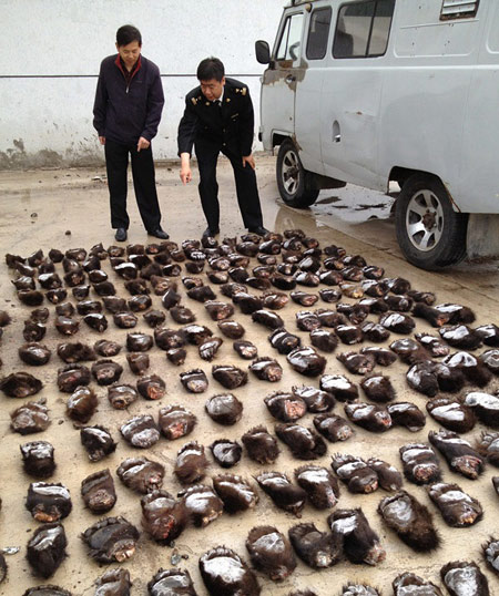 Les douanes chinoises saisissent 213 pattes d'ours (2)