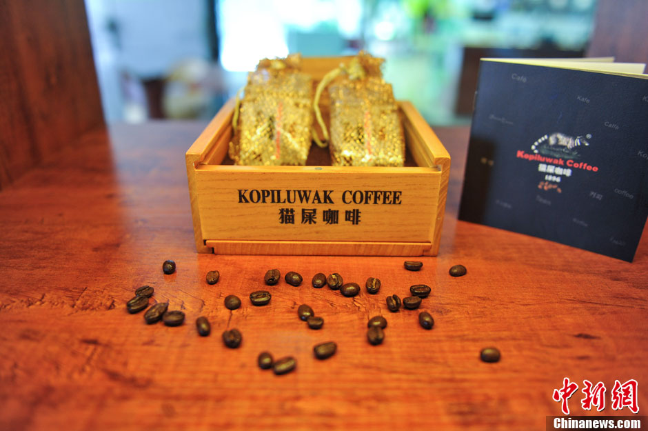 Des grains de kopi luwak. (Photo : CNS/Ren Dong)