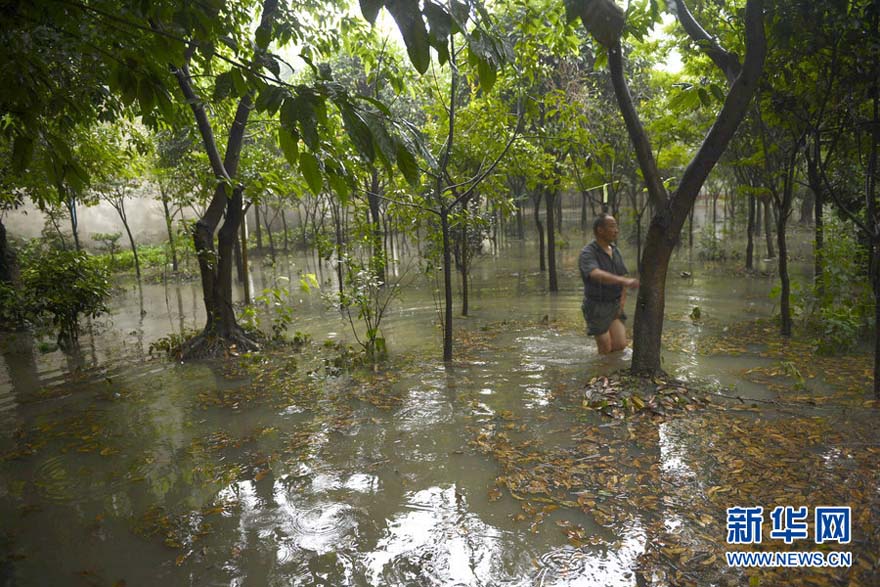 Inondations : Chengdu sous les eaux (4)