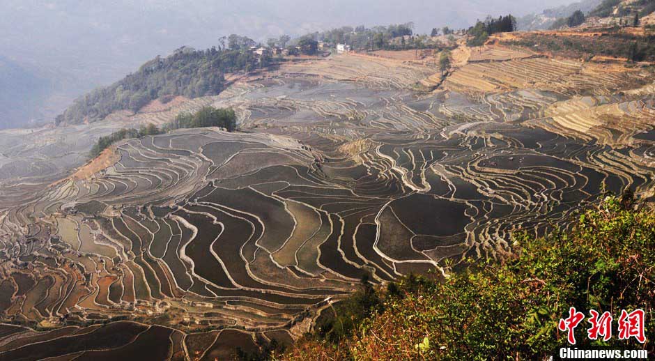 L'UNESCO inscrit les rizières en terrasses des Hani de Honghe  sur la Liste du patrimoine mondial  (4)