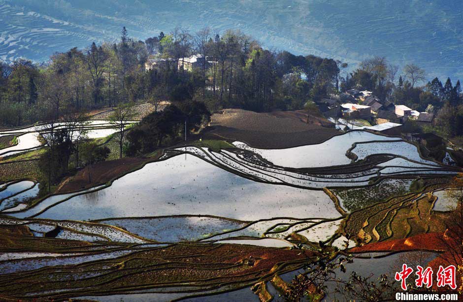 L'UNESCO inscrit les rizières en terrasses des Hani de Honghe  sur la Liste du patrimoine mondial  (3)