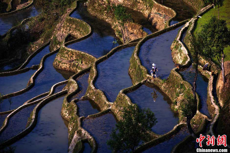 L'UNESCO inscrit les rizières en terrasses des Hani de Honghe  sur la Liste du patrimoine mondial  (2)