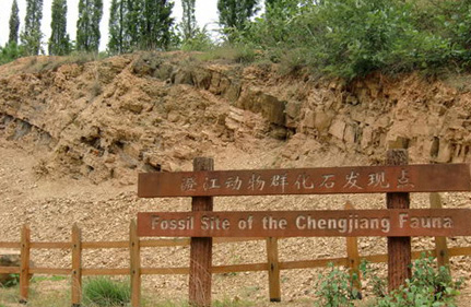 Site fossilifère de Chengjiang (2012)