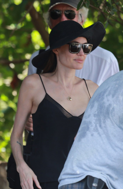 Angelina Jolie a repris le travail  (2)