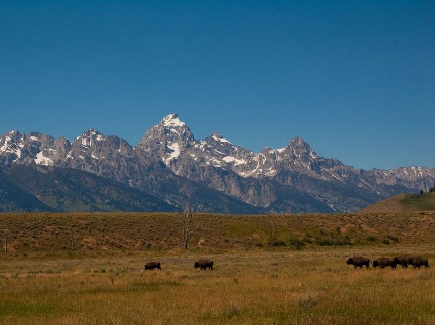 Magnifique : 31 parcs nationaux aux États-Unis (29)