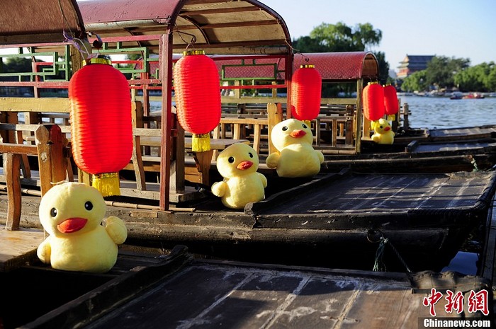 Beijing : la fièvre des canards jaunes gagne Shichahai