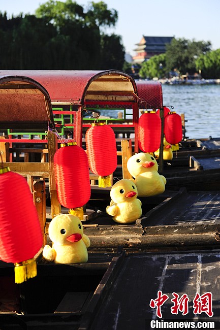 Beijing : la fièvre des canards jaunes gagne Shichahai (5)