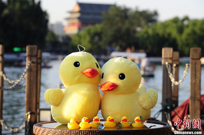 Beijing : la fièvre des canards jaunes gagne Shichahai (2)