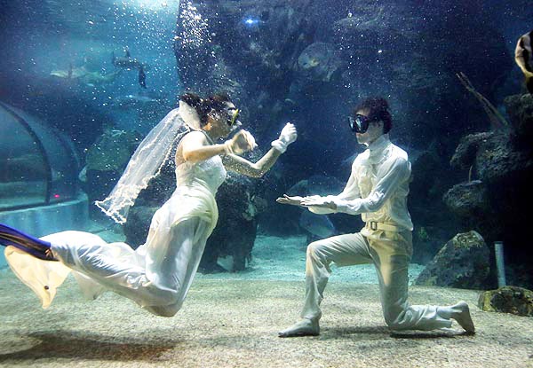 Des modèles portent des robes de mariée et costumes, lors d'un défilé de mode sous-marin à l'Aquarium de Zuohai à  Fuzhou, dans la province du Fujian, le 17 juillet 2013. Le show a permis de montrer des styles chinois et occidentaux de robes de mariée, avec également certains dans un style rétro. Les Modèles étant des employés et plongeurs chinois et russes travaillant à l'aquarium. [Photo: Yang E'nuo/Asianewsphoto]