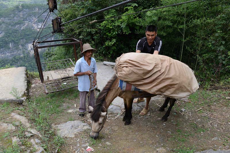 Le 23 juillet, Gu Yiqing, un habitant du village Yushan du district de Hefeng dans la province chinoise du Hubei, est prêt à traverser la vallée par le téléphérique. 