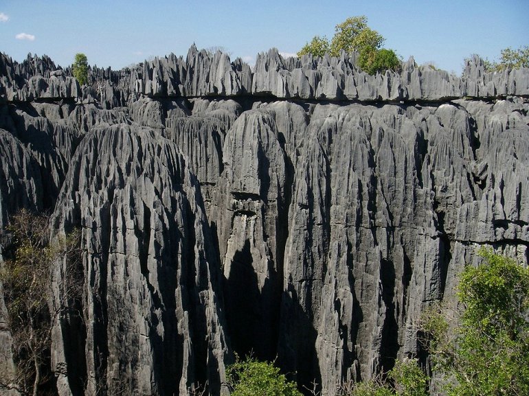 Le parc national de Tsingy de Bemaraha se trouve dans la région de Melaky, sur la côte ouest de Madagascar. Il est entièrement composé de pierres calcaires et abrite différentes espèces d'animaux sauvages. Avec le travail de la nature pendant plusieurs milliers d'années, les fossiles de la période jurassique se sont transformés en cheminées de fées, en canyons et en cavernes. Ce relief un peu particulier a permis à plusieurs espèces de survivre et de se multiplier.