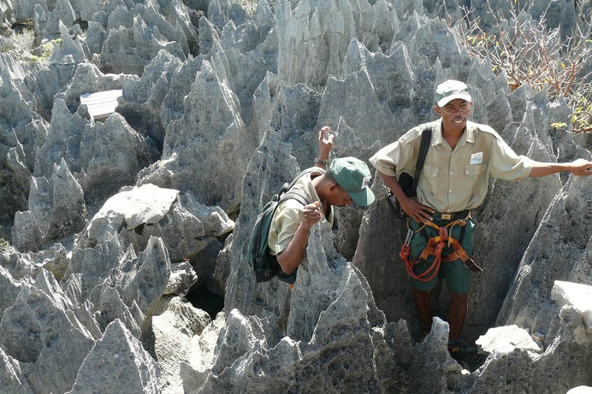 La forêt de pierres de Madagascar (20)