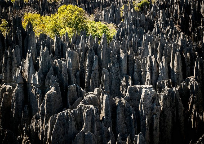 La forêt de pierres de Madagascar (15)