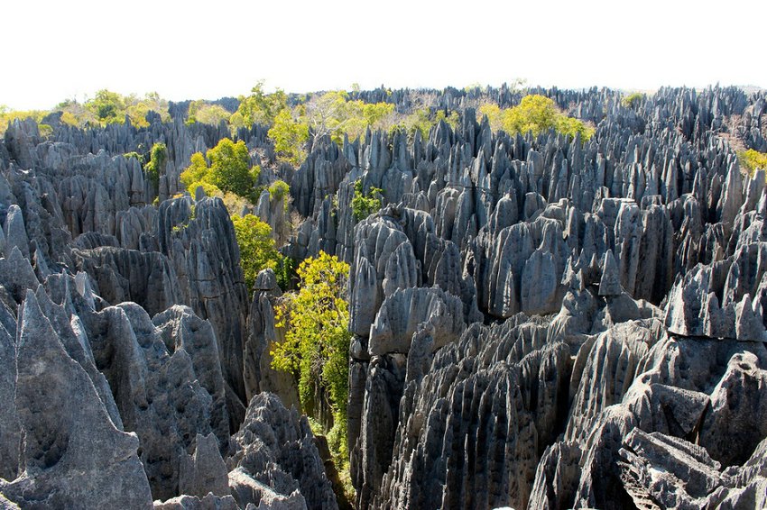 La forêt de pierres de Madagascar (13)