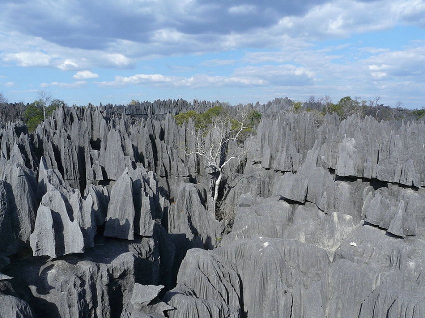 La forêt de pierres de Madagascar (11)