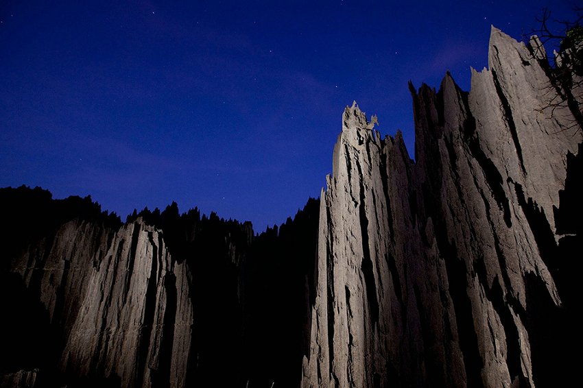 La forêt de pierres de Madagascar (9)