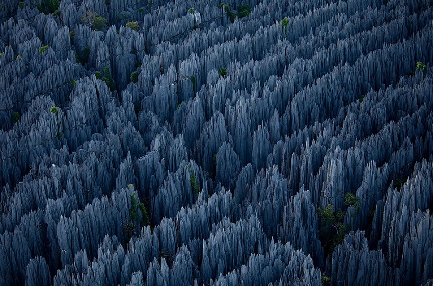 La forêt de pierres de Madagascar (8)