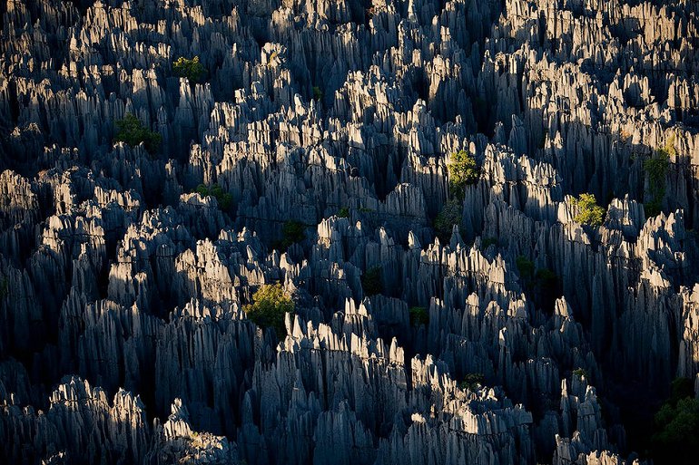 La forêt de pierres de Madagascar (7)