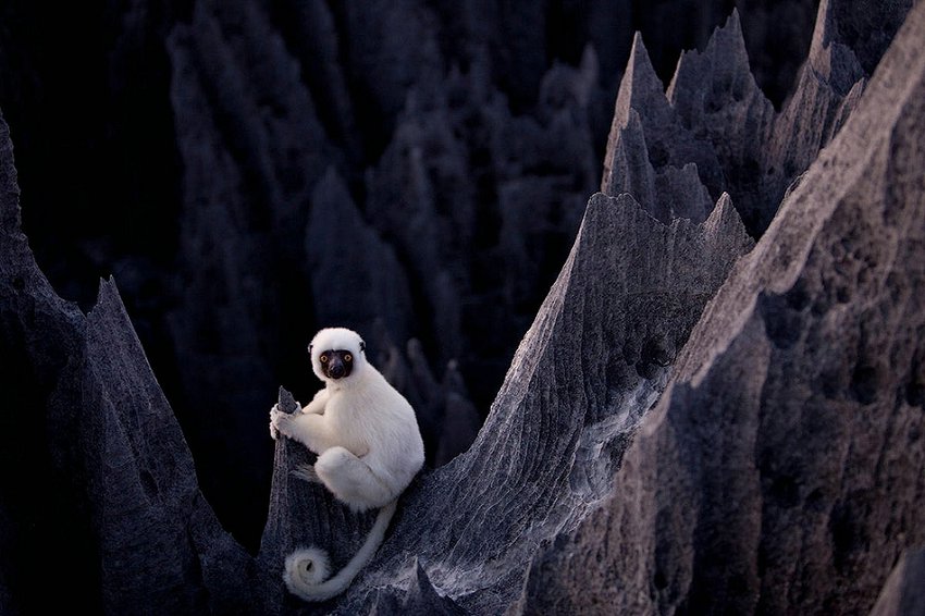 La forêt de pierres de Madagascar (4)