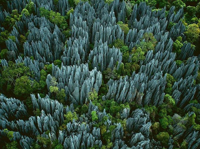 La forêt de pierres de Madagascar