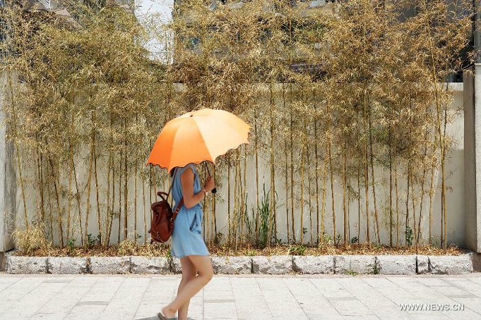 Une fille passe devant des bambous flétris à cause de la température élevée à Hangzhou, capitale de la province du Zhejiang (est de la Chine), le 28 juillet 2013. Une vague de chaleur a frappé de nombreuses régions de la Chine ces derniers jours.