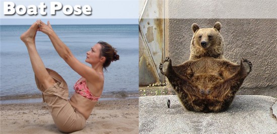 Photo : ces animaux qui pratiquent le Yoga... (27)