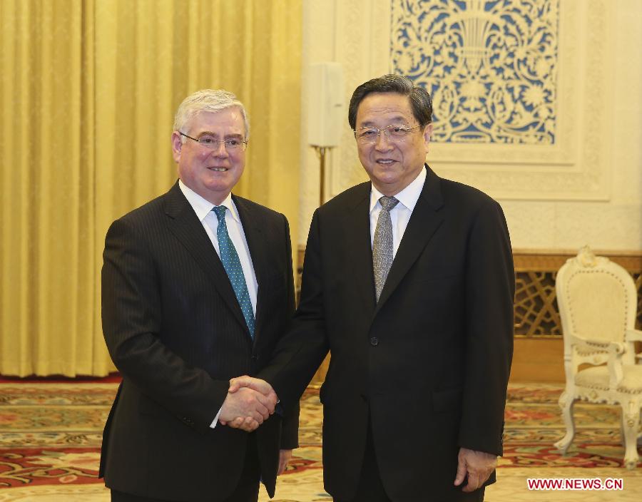 Yu Zhengsheng rencontre le vice-Premier ministre d'Irlande (2)