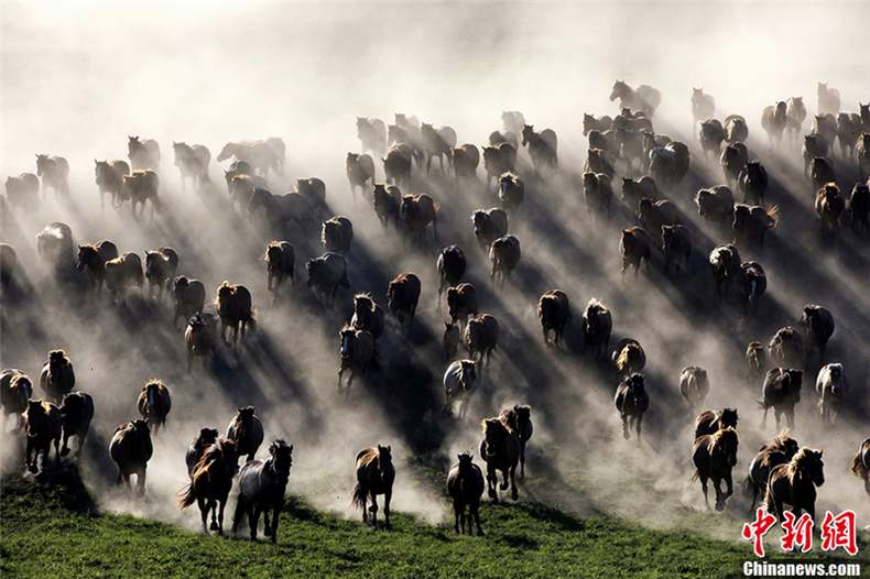 Photographie : les plus beaux paysages de Chine (20)