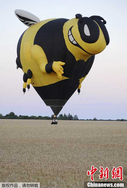 France : 408 montgolfières s'envolent pour un record du monde (4)