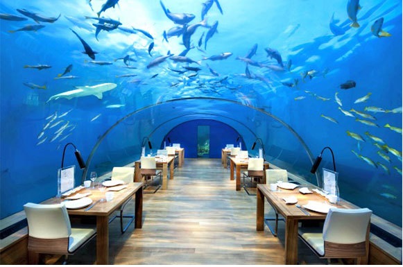 Un restaurant sous-marin aux Maldives