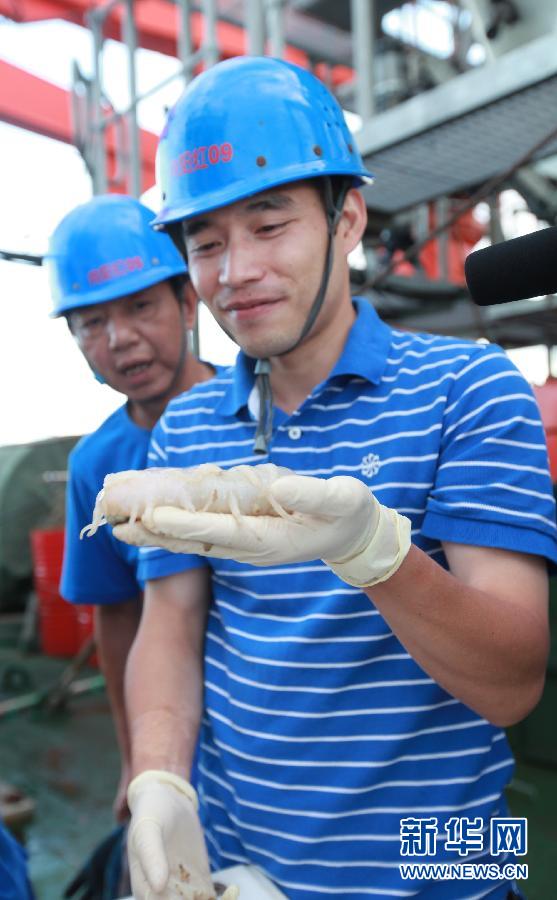 Le submersible Jiaolong découvre plusieurs espèces rares (3)