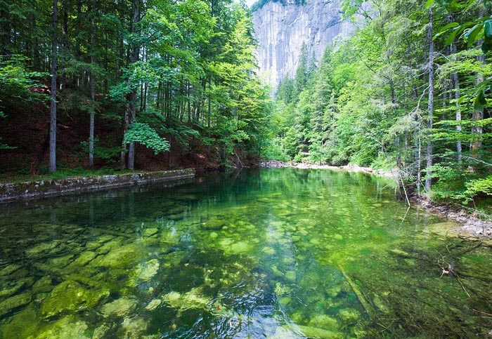 Lac vert en Autriche