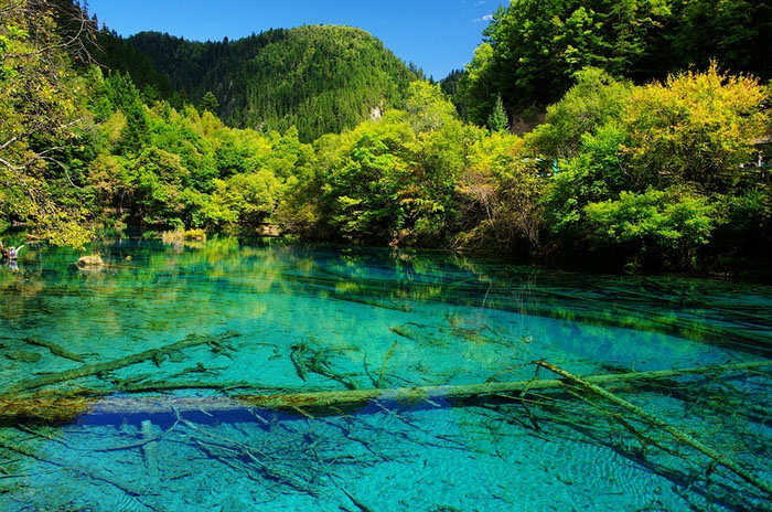 Lac des cinq fleurs à Jiuzhaigou, en Chine