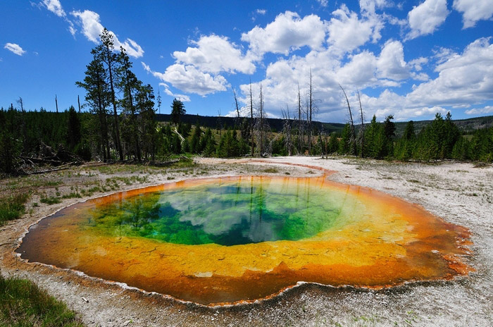 Morning Glory Pool dans le Parc national de Yellowstone, aux Etats-Unis