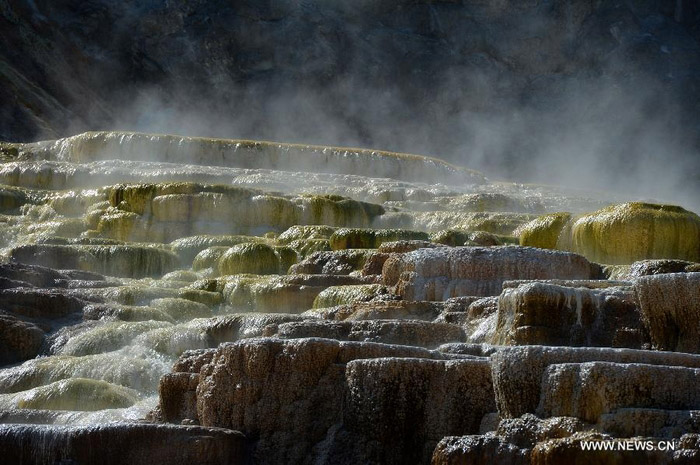 Découvrez la beauté du Parc national de Yellowstone aux Etats-Unis (6)