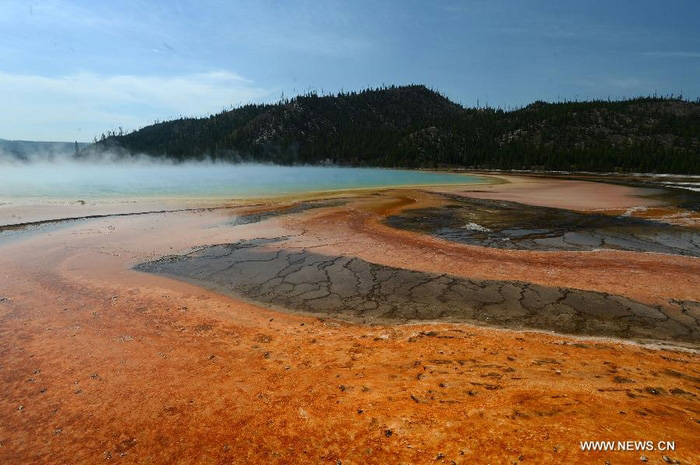 Découvrez la beauté du Parc national de Yellowstone aux Etats-Unis (5)