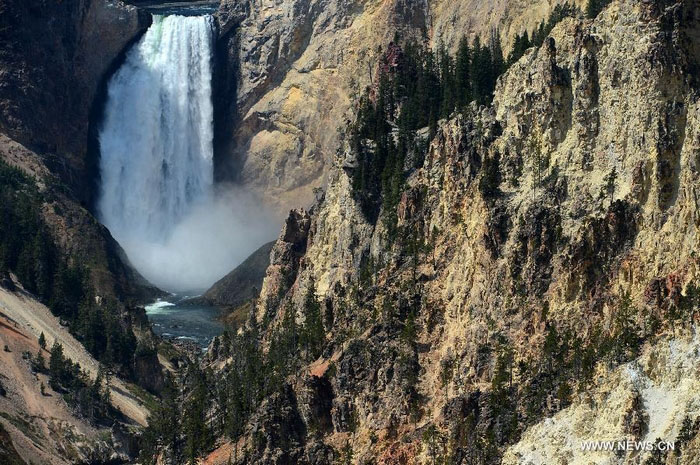 Découvrez la beauté du Parc national de Yellowstone aux Etats-Unis (8)