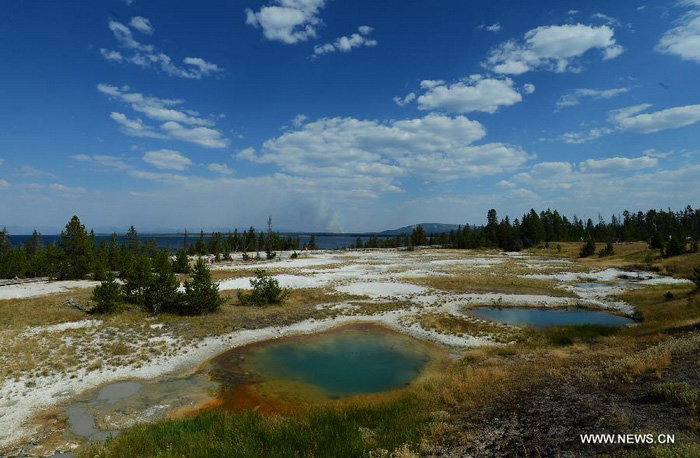 Découvrez la beauté du Parc national de Yellowstone aux Etats-Unis (2)