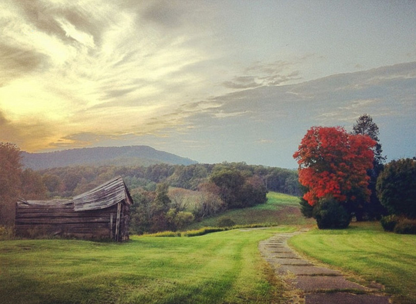 Les meilleures photos du concours de photographie iPhone (6)