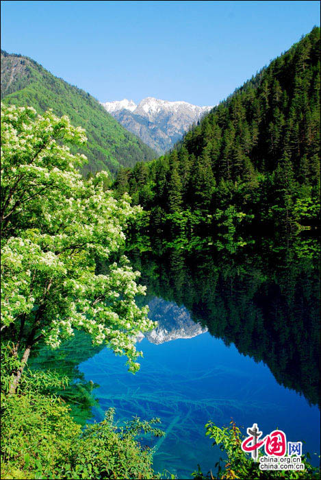 Le paysage multicolore de Jiuzhaigou en plein été (6)