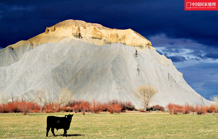 Les falaises blanches du Monument national de Grand Staircase-Escalante, Utah, États-Unis.