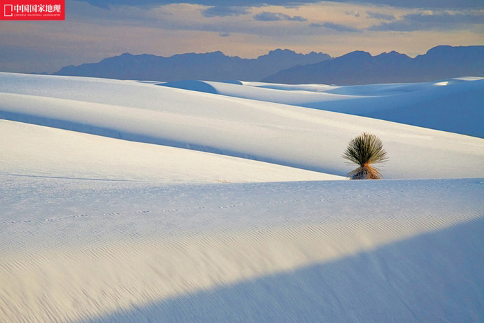 White Sands, un désert de sable blanc au Nouveau-Mexique, à l'ouest des États-Unis.