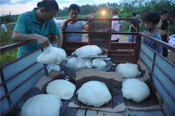 Les villageois préparent du carburant pour une gigantesque lanterne volante, dans le comté de Wanquan, de la ville de Qionghai, la province chinoise du Hainan, au sud du pays, 26 août 2013