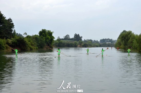 Le 23 aôut 2013, des acrobates pratiquent le rafting sur une tige de bambou sur le fleuve Meijiang dans le district de Meitan dans la province chinoise du Guizhou. 