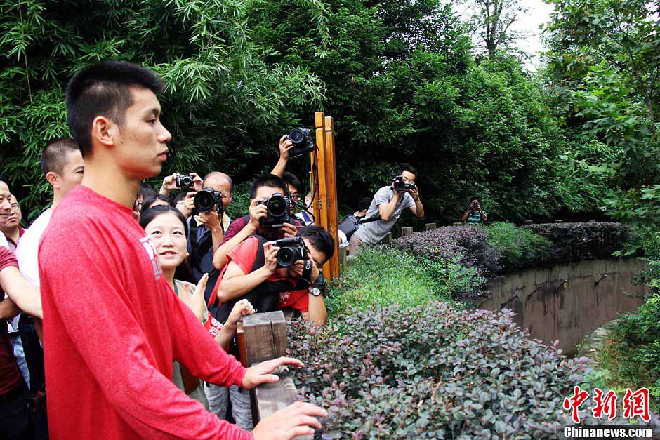 Jeremy Lin rend visite aux pandas de Chengdu  (6)