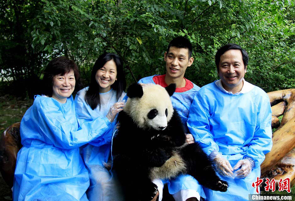 Jeremy Lin rend visite aux pandas de Chengdu  (4)