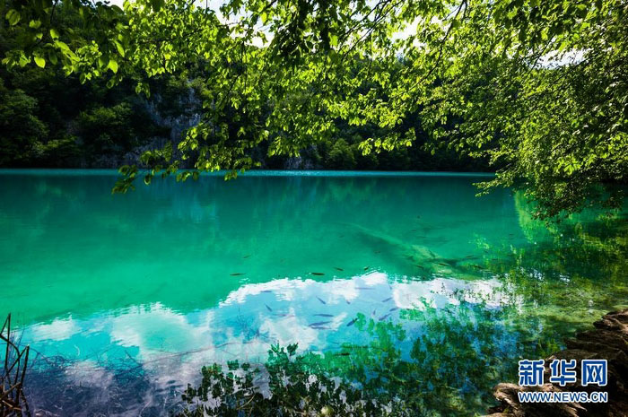 Découvrez la beauté du Parc national des lacs de Plitvice en Croatie