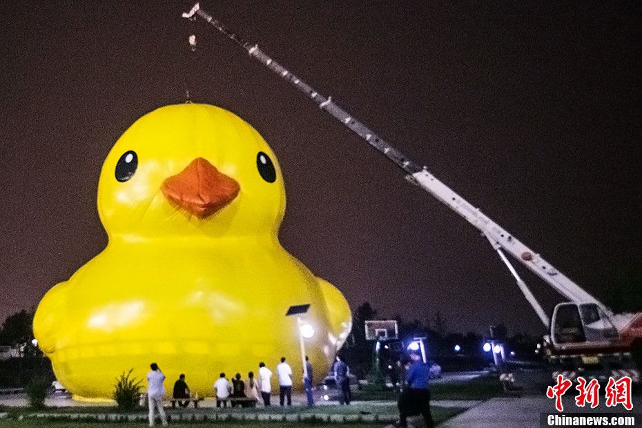 Le canard jaune géant arrive à Beijing (6)