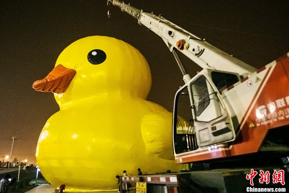 Le canard jaune géant arrive à Beijing (3)